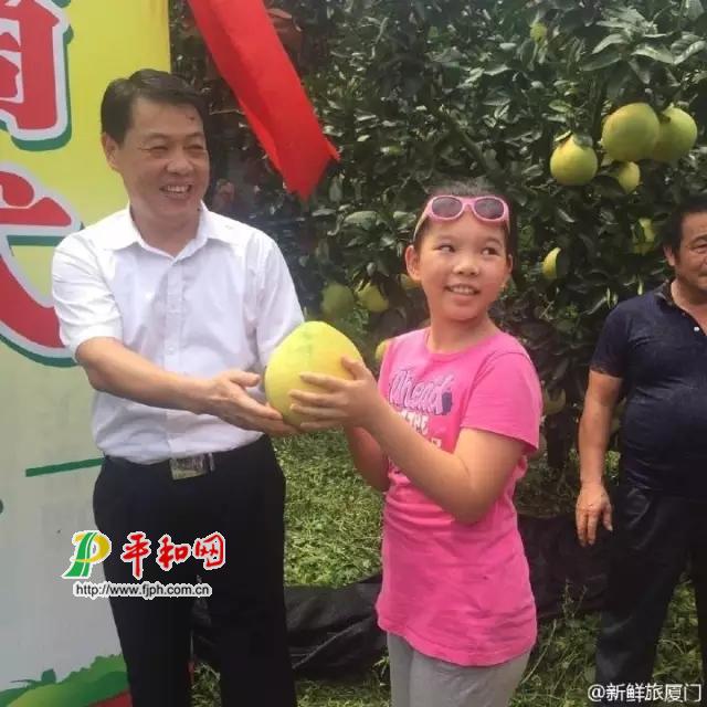 蜜柚开摘仪式-平和网