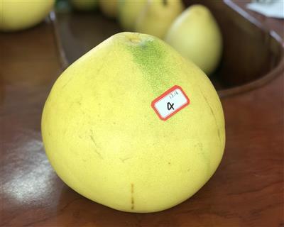 13.16斤大柚子获“大柚王”