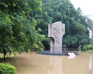 中山公园被水淹