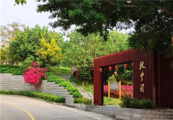 黎明职业大学
