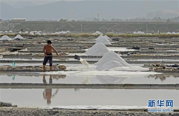 福建泉州：防御台风 抢收原盐