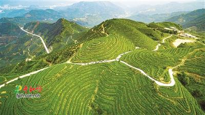 E星体育九龙江顶峰生态谷一期放慢建立将在