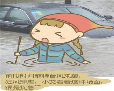 全力防抗台风专栏-《平和网》主流媒体