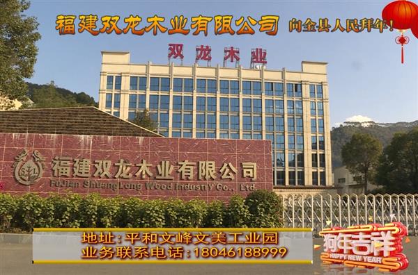 福建双龙木业有限公司