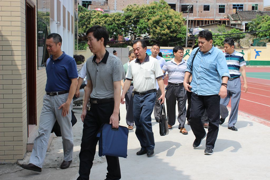 市政府教育督导室到大溪镇督查指导-《平和网》