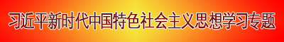 习近平新时代中国特色社会主义思想学习专题