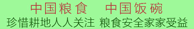 中国粮食 中国饭碗