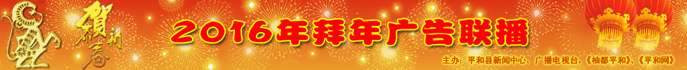 拜年广告2016