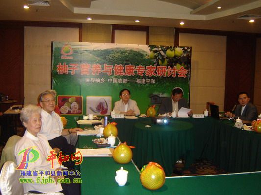 平和琯溪蜜柚营养与健康专家研讨会会场背景