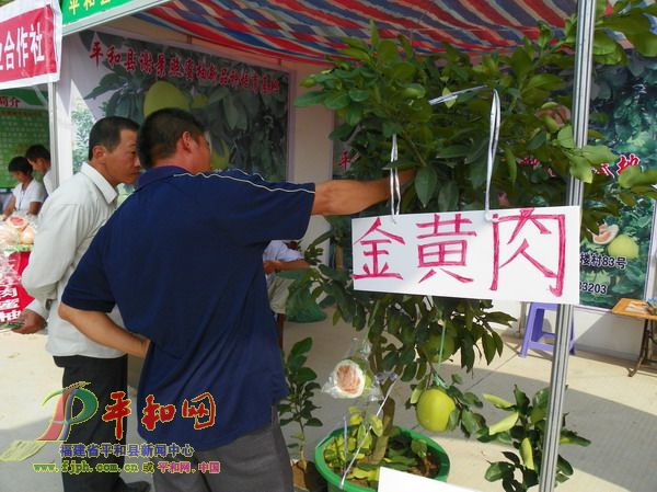 第四届海峡两岸（福建平和）农资产品展销会