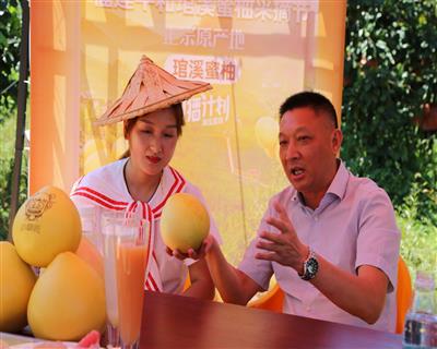 县政协副主席与网红一起进行线上推介平和琯溪蜜柚