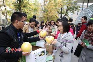 大学生免费品尝蜜柚活动