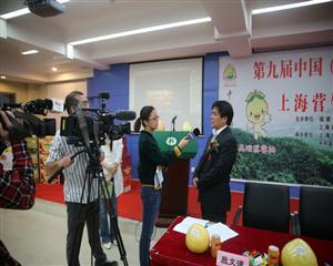 上海电视台采访赖武平副县长