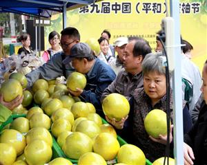 市民正在上海家乐福万里店选购蜜柚