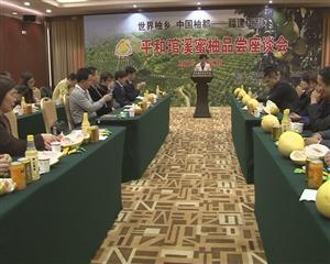 平和琯溪蜜柚品尝座谈会