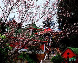 三平寺