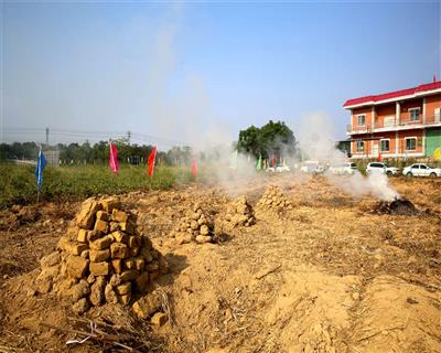 “庆丰收”系列活动——土法烤制红薯