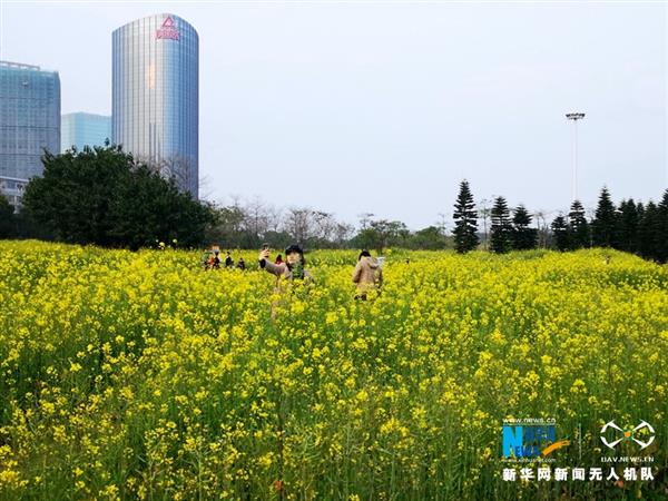 泉州：满城飞花春意盎然