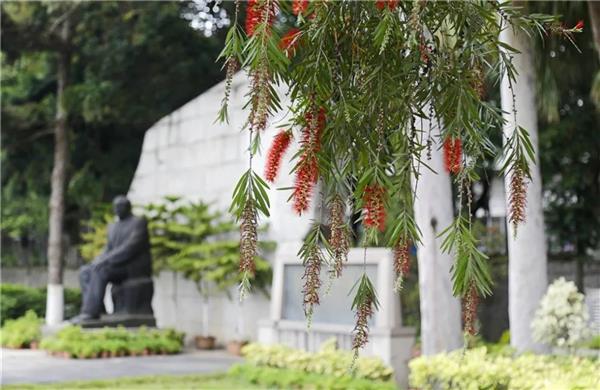 泉州版高校春景图来了！快来为你的学校点赞吧！