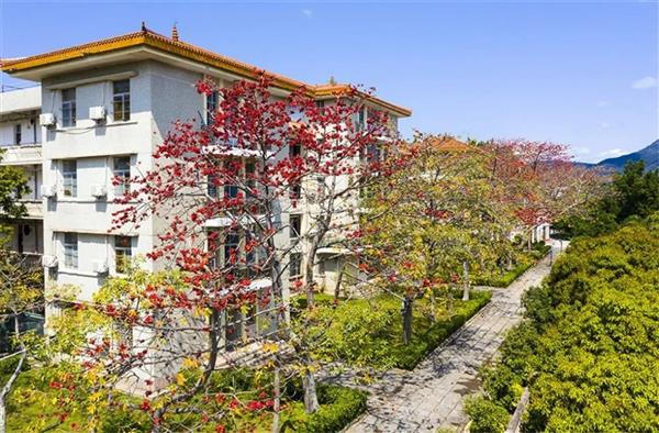 泉州版高校春景图来了！快来为你的学校点赞吧！