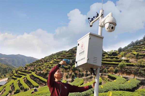 福建周宁：首批智慧有机茶园投入使用