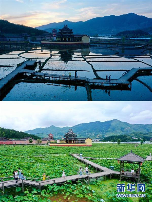 福建浦源：八百年古村续写人鱼佳话
