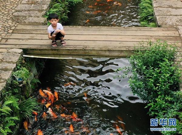 福建浦源：八百年古村续写人鱼佳话