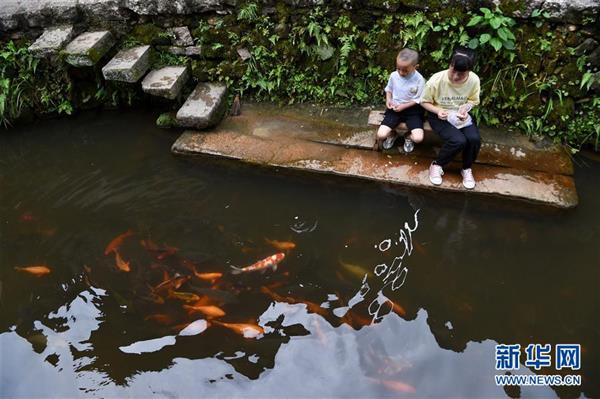 福建浦源：八百年古村续写人鱼佳话