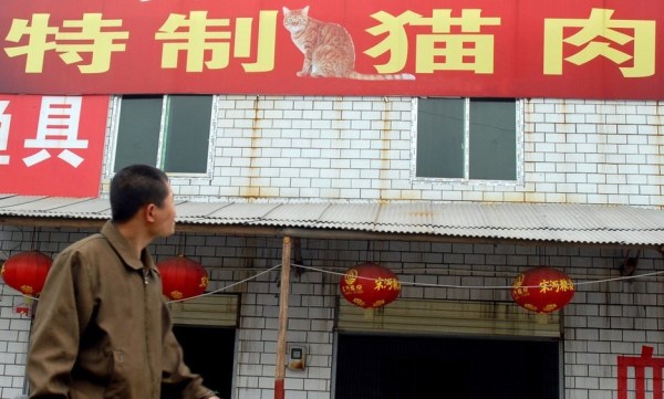 汕头:"猫肉"野味店广东汕头,行人从野味店的"猫肉"招牌前走过.