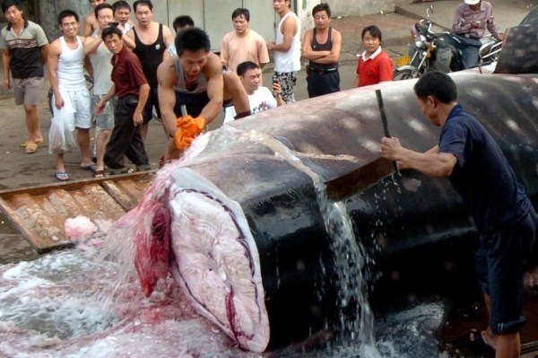 尼日利亚餐馆公开售卖人肉菜单上有烤人头