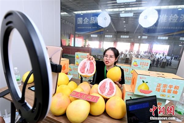 图为在福建省漳州市平和县，琯溪蜜柚直播带货现场。 中新社记者 张金川 摄