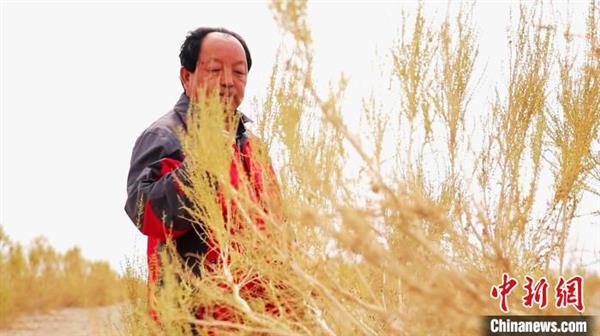 【中国这十年】北京老王“邂逅”内蒙古额济纳8年植绿31万亩