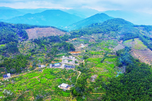 一战成名:文臣变为儒将-《平和网》