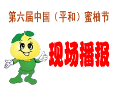 第六届蜜柚节