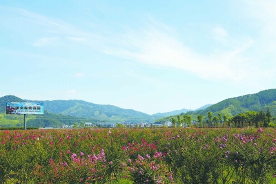 小镇蝶变将乐县万安镇小城镇建设探索