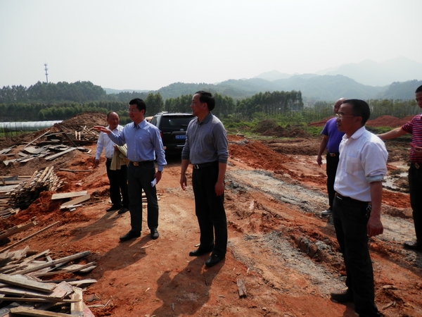 县委常委黄添木到黄井小学检查指导工作