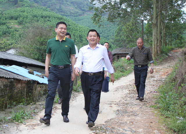 县委常委,常务副县长林德志到九峰镇调研-《平和网》