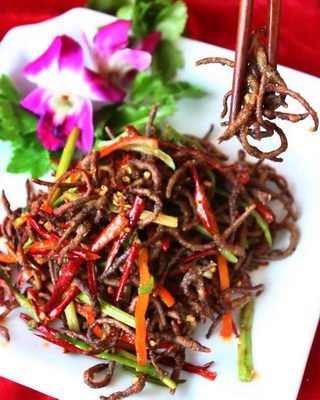 农家乐98元一份出售干煸蚯蚓图